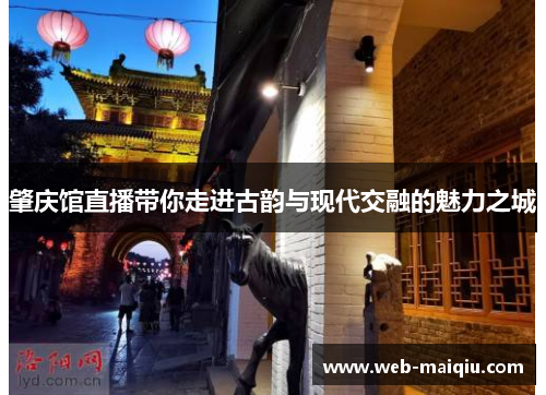 肇庆馆直播带你走进古韵与现代交融的魅力之城